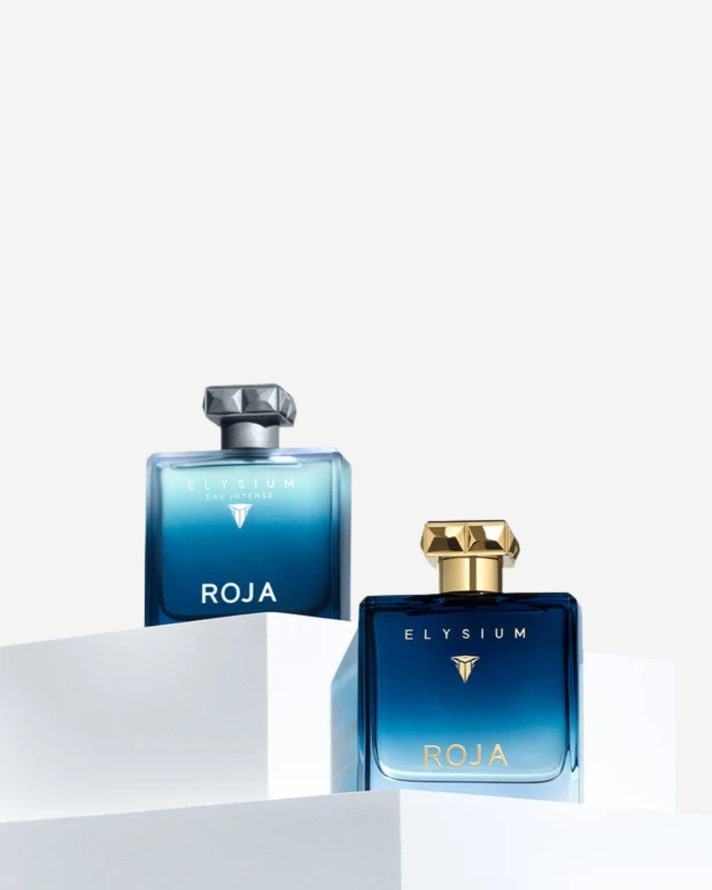 Roja Parfums Elysium Eau Intense Eau de Parfum | 100ML Man