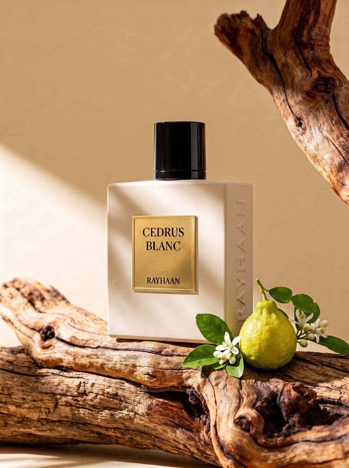 Rayhaan Cedrus Blanc Eau de Parfum | 100ML Unisex