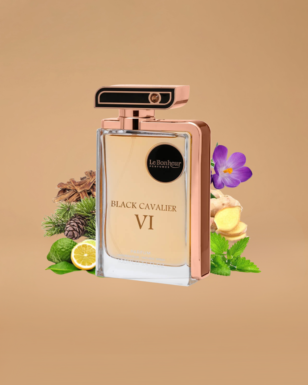 Le Bonheur Black Cavalier VI Eau de Parfum | 100ML Unisex