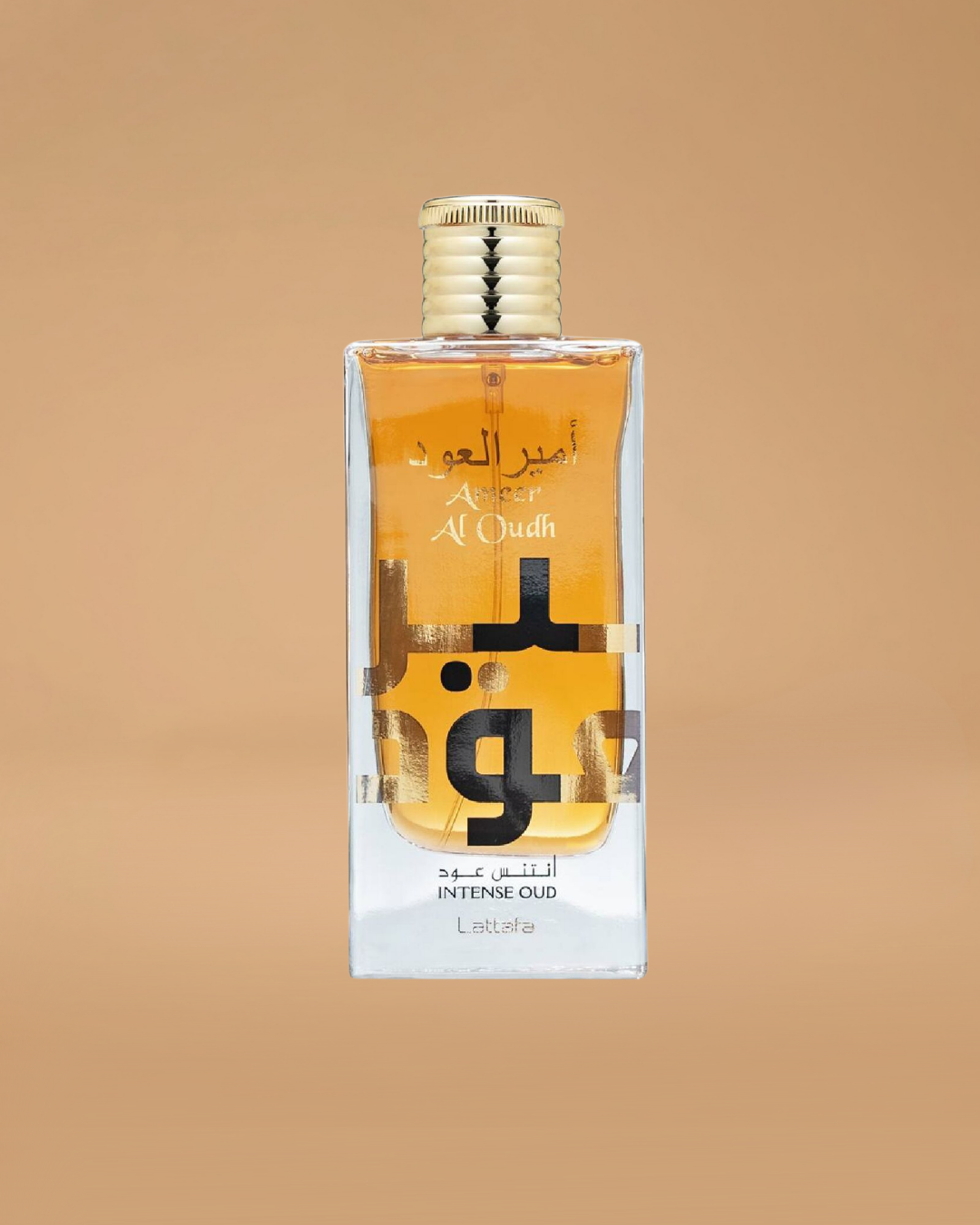 Lattafa Ameer Al Oudh Intense Eau de Parfum | 100ML Man