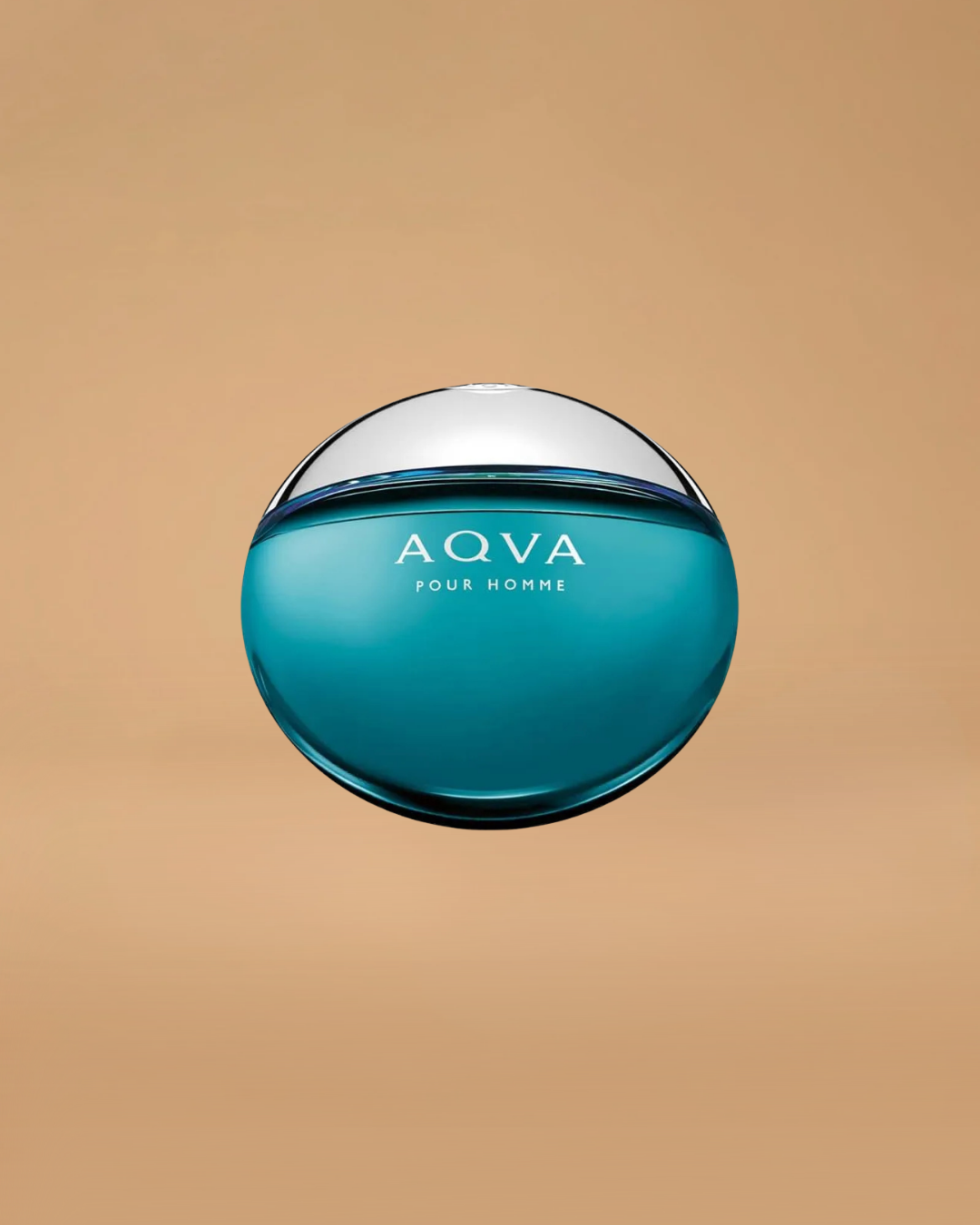 Bvlgari Aqva Pour Homme EDT | 100ML |Man