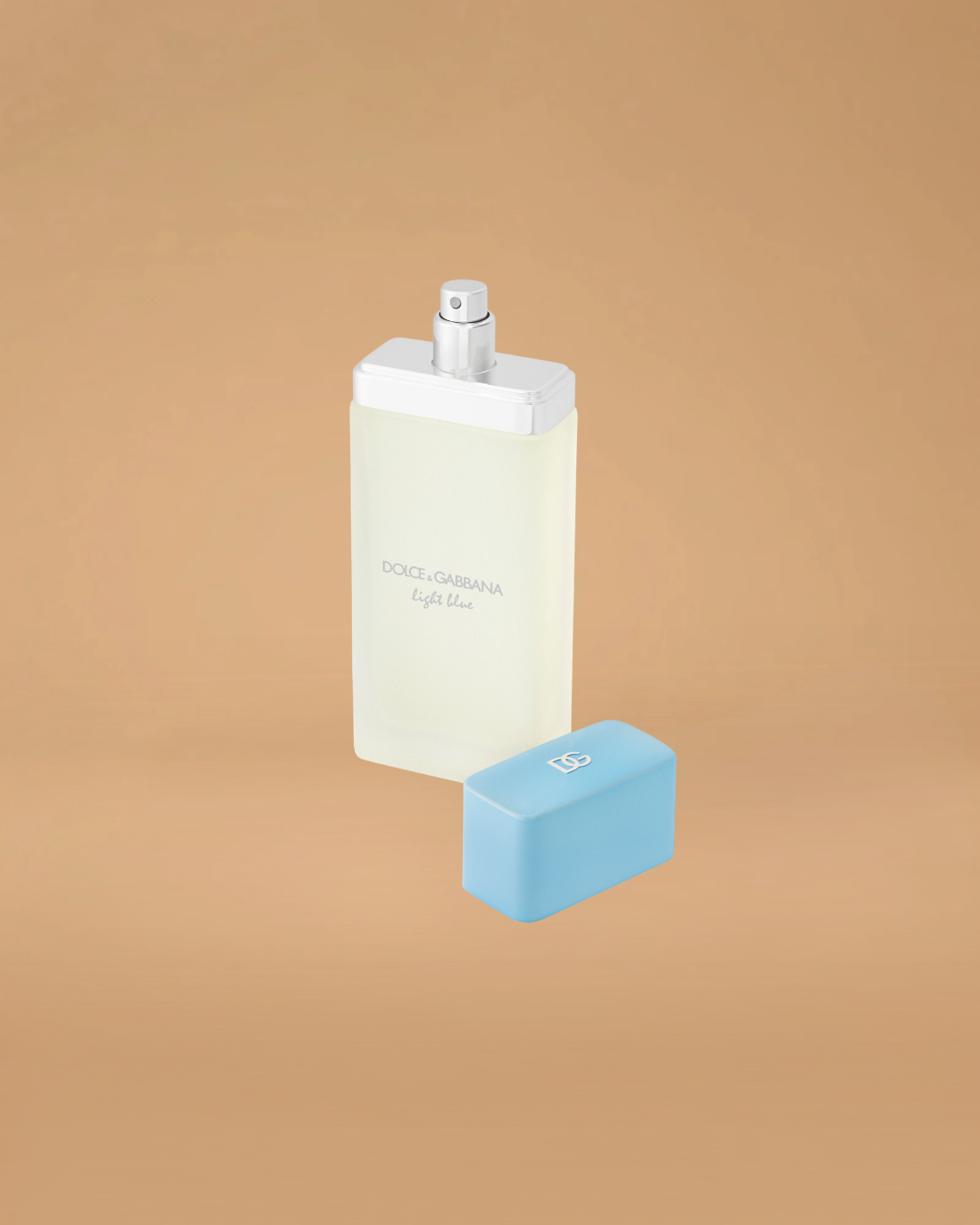 Dolce & Gabbana Light Blue Eau de Toilette | 100ML For Women